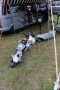 Thumbs/tn_Hatzenport 2019 157.jpg